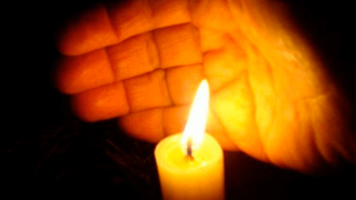 luys-634x445_gfTgD.png