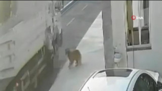 2105170457869918585557333409937240948731114n_YcCnF.jpg