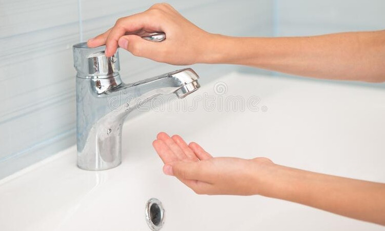 jranjatum-hascenerum_qntSD.jpg
