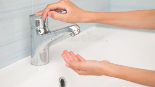 jranjatum-hascenerum_qntSD.jpg