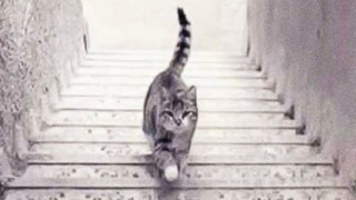 test_5psJT.jpg