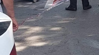 1950178051992909020500188856688232077337313n_cmtp5.jpg
