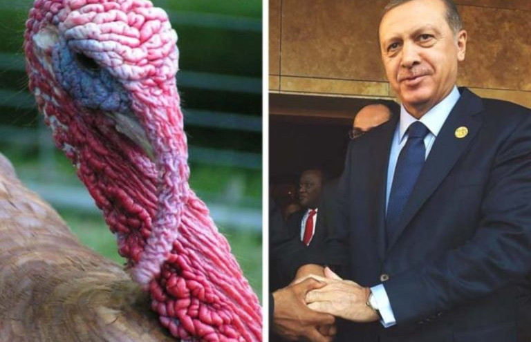 recep-tayyip-erdogan-r-and-a-turkey-l-1200x900-1-768x576_0nhEb.jpg