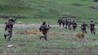 banak-1_lotk9.jpg