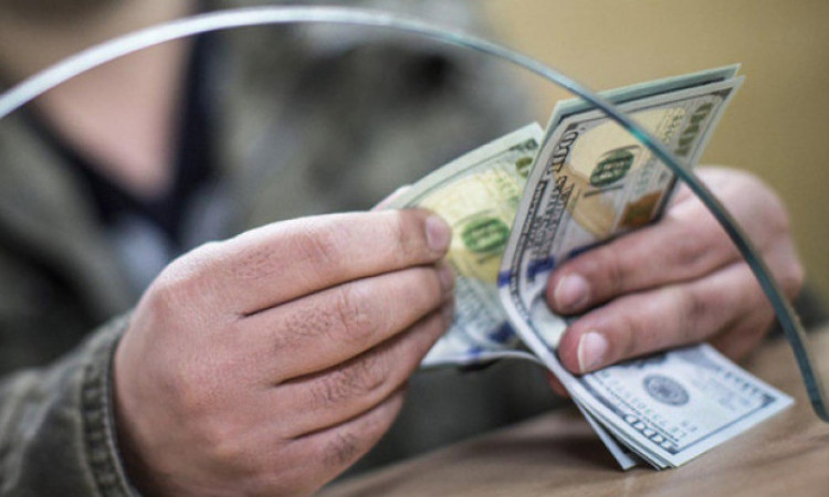 dolar-1_8sHp9.jpg