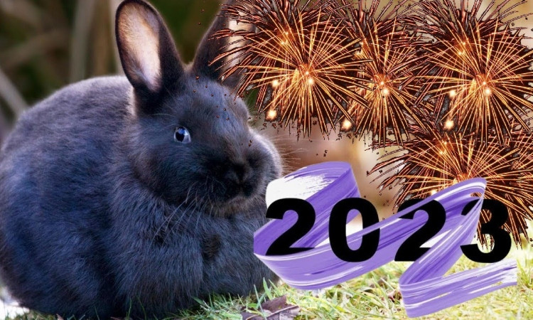 2023-tvakan_SFrG2.jpg