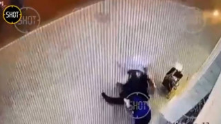 28061611411650299240556445811644858016850962n_Od8WA.jpg