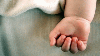 1874943103156336334872036759699673838227467n_BNkUr.gif