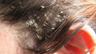 thumb-600x315-2-1_IKJK3.jpg