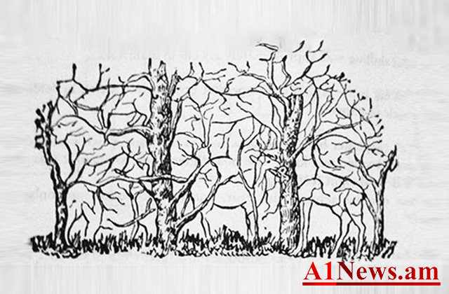 test1-680x400-1_M9YfA.jpg