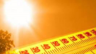 befunky-collage-6_SkDxQ.jpg