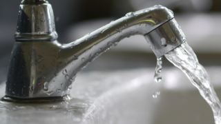 timthumb_bXLq1.png
