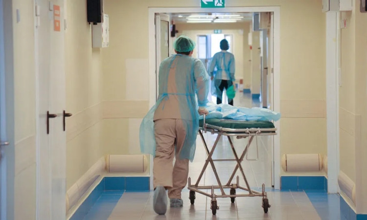 krakocner-en-hnchek_O3icn.jpg