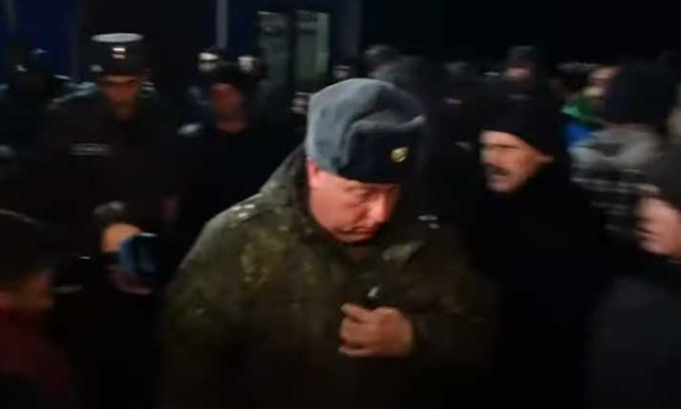 lachin_tnr-g.jpg
