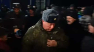lachin_tnr-g.jpg