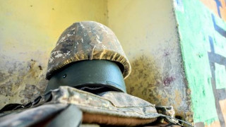 banak-12_dxRBI.jpg